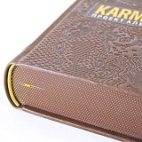  . Karmacoach